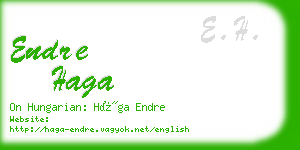 endre haga business card